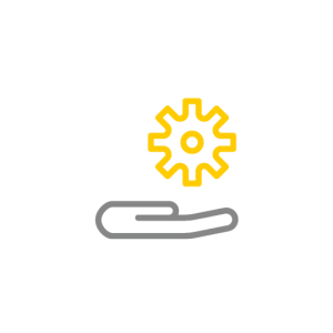 C&I Supervision Service Basic 2S10, 1 Unit